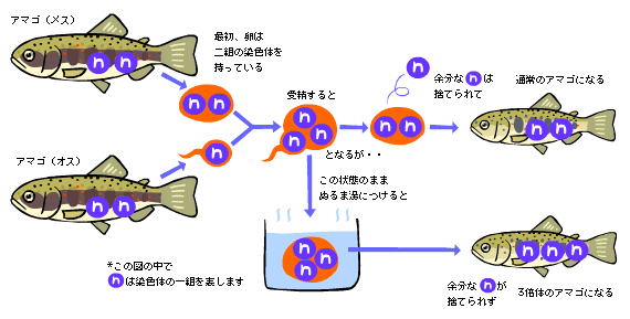 %E4%B8%89%E5%80%8D%E4%BD%93.gif