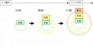 ３層構造図解