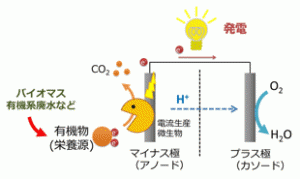 微生物発電