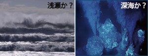 浅瀬か　深海か