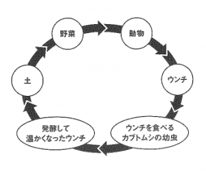 スクリーンショット 2021-07-15 191000