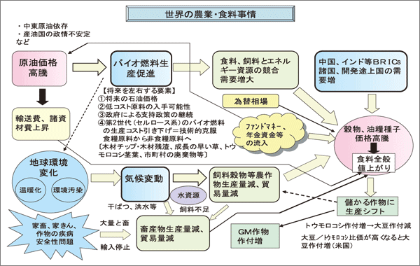 world0803a-23.gif